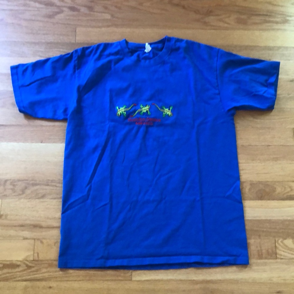 NWOT Colorful Embroidered Lizard Fun T-shirt Blue, size L